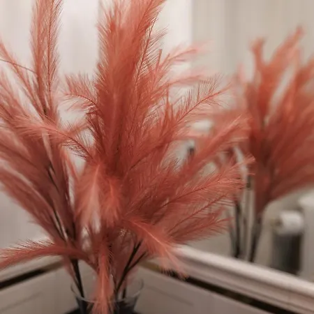 Jacuzzi Energyapart * Szczecin