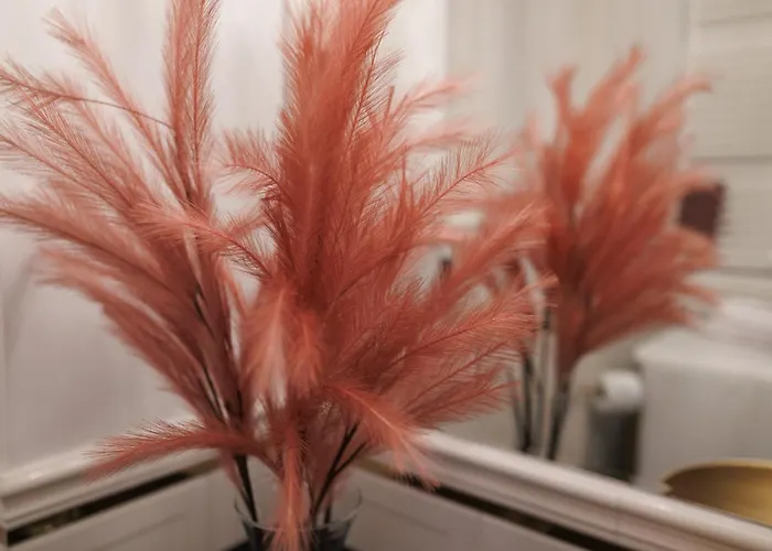 Jacuzzi Energyapart * Szczecin